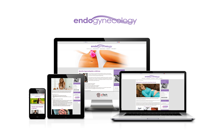 website development Intech